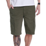 Pantaloni Scurti Vans Tremain Shorts Grape Leaf Green 28