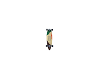 Longboard
