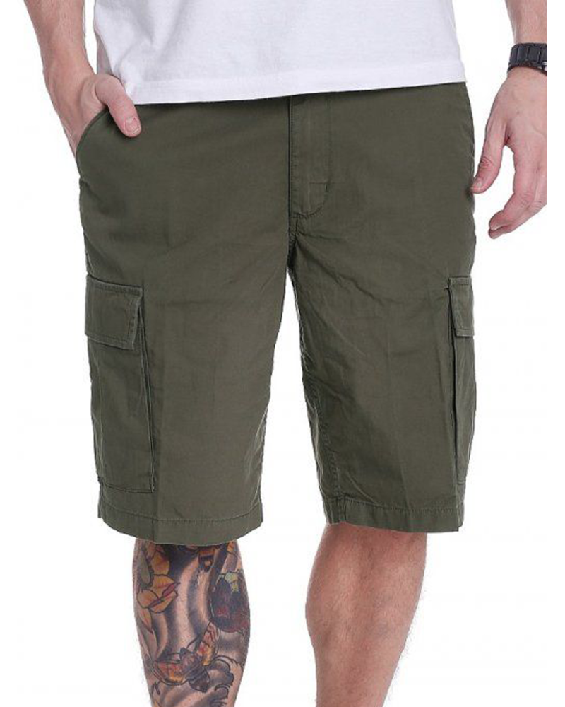Pantaloni Scurti Vans Tremain Shorts Grape Leaf Green 28