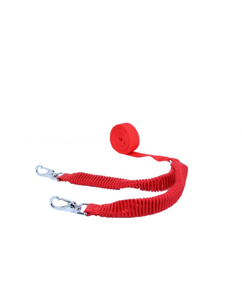 Ham Ski Mini MDX One OX Red